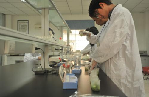 caja de control automática del gas 1.2MPa para el dióxido de carbono del helio del argón del oxígeno del nitrógeno