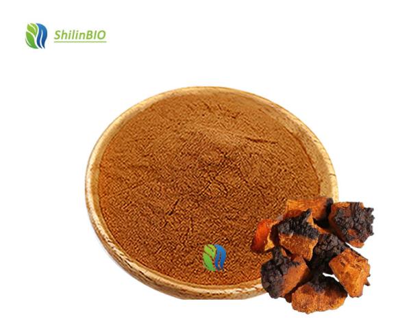 Chaga Mushroom Extract 30-45% Polysaccharides