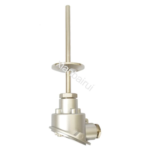 Hot Selling 316L Sanitary Grade 2-Core Pt100 Redundant Temperature Sensor for Pharmaceutical Equipment