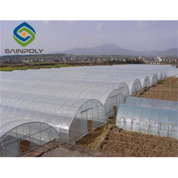275g/m2 100m Plastic Gutter Single Span Greenhouse