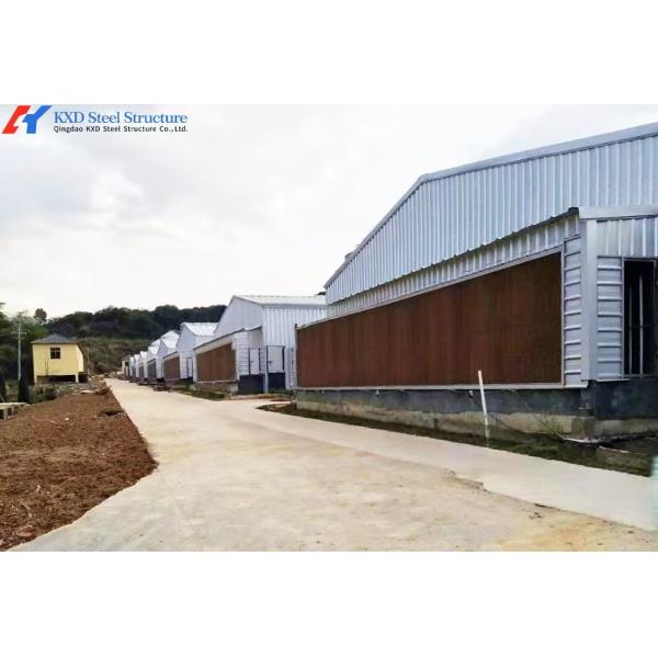 Broiler Poultry Prefab Houses Steel Structure Fully Automated Chicken Farming Equipment