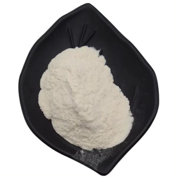 Hot Selling Carrageenan Food Thickeners E407 9000-07-1 Kappa Refined Carrageenan Powder