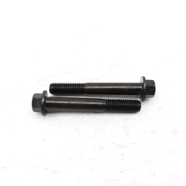 O aço que de liga o óxido preto encanta a flange aparafusa o parafuso de tampão da flange GB5787
