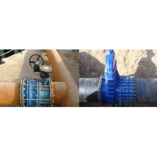 SS304 SS316 Stainless Steel Dismantling Joint DN600 PN16 Flexible Dismantling Coupling