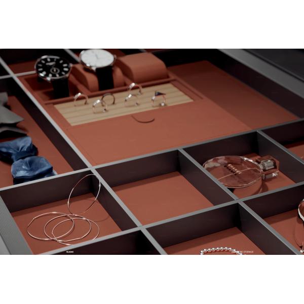 Современная одежда Организаторы шкафов Шкафы ювелирные ящики Организация