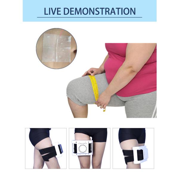 LF-251 Portable Mini Cryo Frozen Fat Machine Mini Cryotherapy Pad Frozen Freeze Slimming Cool Fat Machine