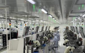Terrene Trading Limited