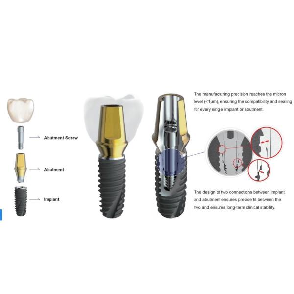 Dental Mini Implant Narrow Connection for Teeth Restoration Customized by 2D/3D/Drawing