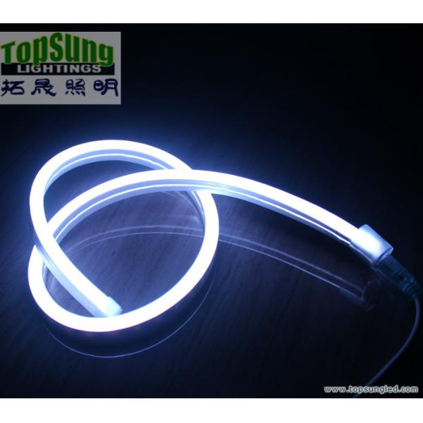 мини-размер RGB LED неоновый флекс 10 * 18 мм полный цветопеременный неоновый свет 110V SMD5050