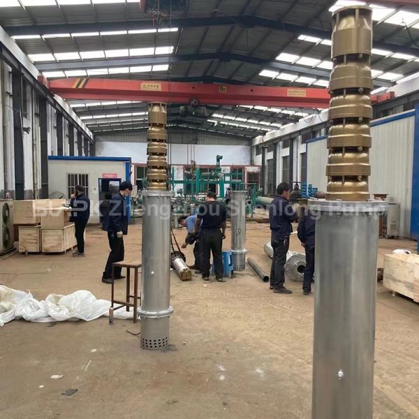 2205 stainless steel submersible pump, used for seawater lifting and desalination 600 m³/h flow rate 180 m head