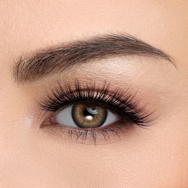 OEM покрасил контактные линзы HEMA NVP темного Брауна с силой -0 до -8