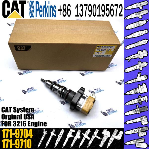 Fuel Injector 1719704 171-9704 10R-1306 10R-1257 229-8842 178-6342 178-6343 177-4752 177-4753 For Engine