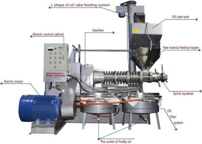 Máquina de comércio da imprensa de óleo da espiral da segurança com novo tipo para a colza