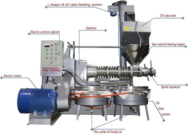 Rendimento alto do óleo da máquina estável da imprensa de óleo do parafuso do desempenho para o amendoim