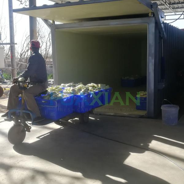 New Vacuum Agriculture Cooling Machine for Vegetable/Fruit/Mushroom/Flower Farm
