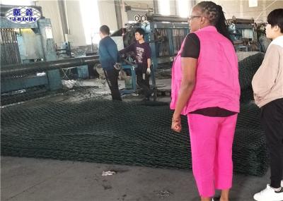 2 o Pvc do × 0,3 do × 2 revestiu a instalação fácil da prova do tempo da caixa de Gabion