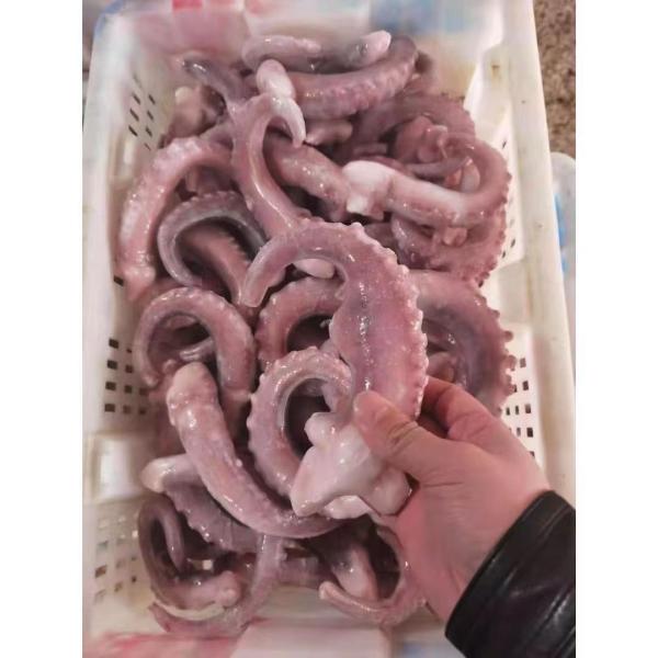 Для кальмара ранга IQF рыбного базара a Таиланда замороженного индийского щупальца отрезали целые