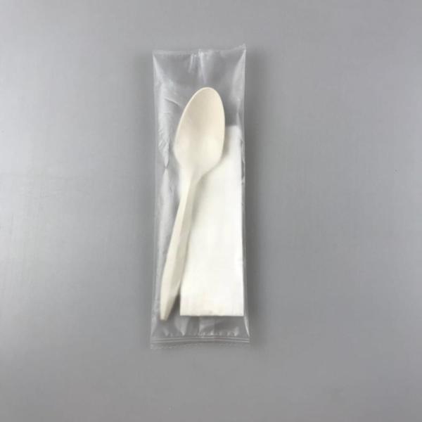Eco-Friendly Biodegradable Spoon Tissue Wrapped and Plastic Type Polylactic Acid