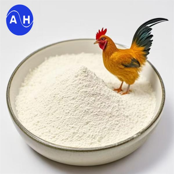 Optimize Poultry Health And Egg Production With Calcium Amino Acid Chelate Inclusion In Poultry Feed Formulations
