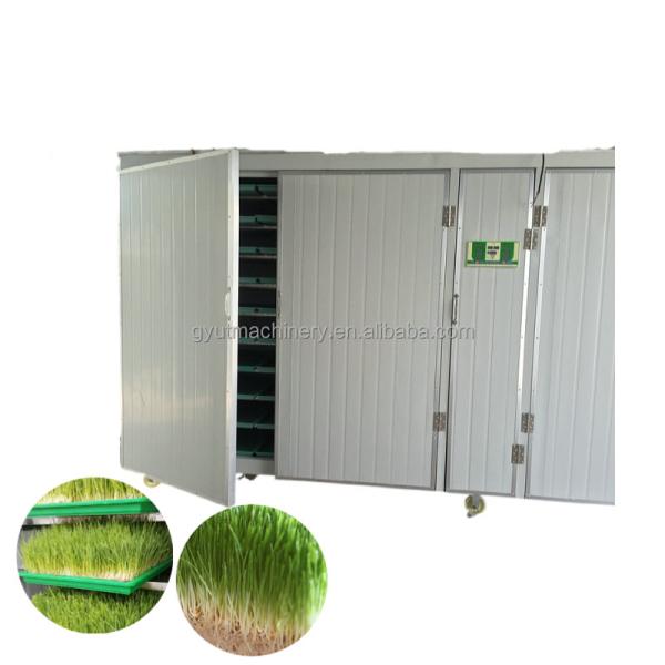 Compact Container Type Hydroponic Barley Fodder Growing Room for Optimal Sprout Box Size