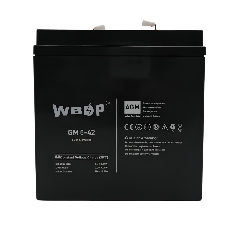 42Ah 6V AGM Battery Sealed Rechargeable SLA Battery For UPS Units, Security