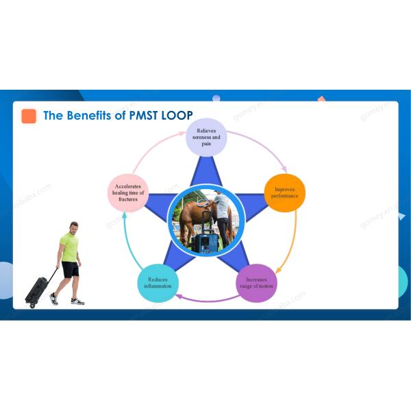 GOMECY PMST LOOP Импульсное электромагнитное поле ПЭМФ терапия Сплавленная 15Ампер Магнитная интенсивность 1000-6000 Гаусов для домашнего использования