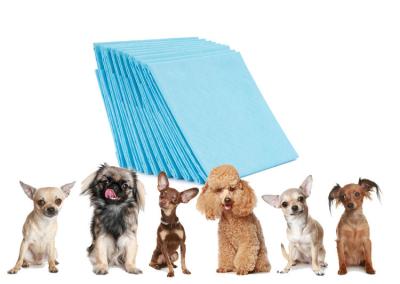 Delicado biodegradável da almofada descartável do treinamento do animal de estimação do cão para o cachorrinho