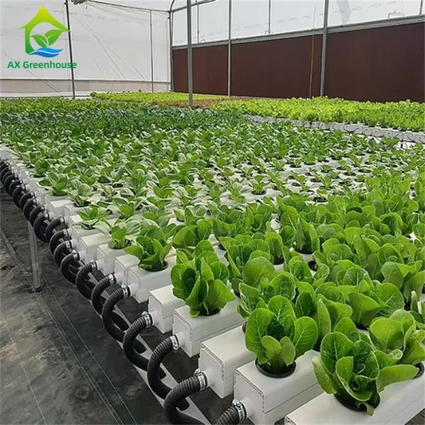 China Factory Super Farm Hydroponic NFT Growing System NFT PVC Channel Horizontal NFT Soilless Leafy VegetableCultivation System