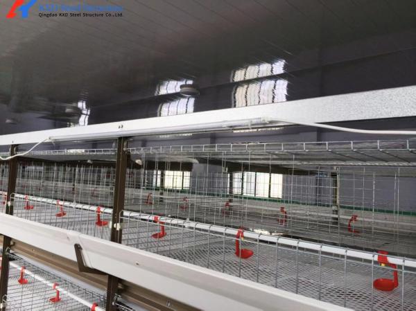 3 Tiers-10 Tiers Poultry Farm Cage Automatic Feeding Chicken House Cage
