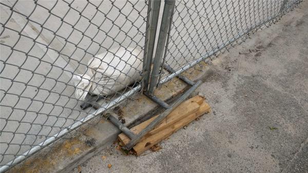 chain link temporary construction fence panels 6FT X 10F Mesh 2 3/8  x 2 3/8 ( 60mm x 60mm ) x 12 gauge wire