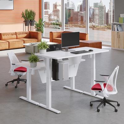 Intelligent Electric Dual Motor Sit Stand Desk for Office and School Workstations