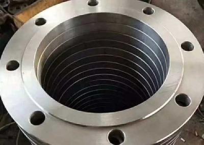 Sistema de apoio catalítico Hastelloy C4 de flange de solda plana de liga de níquel