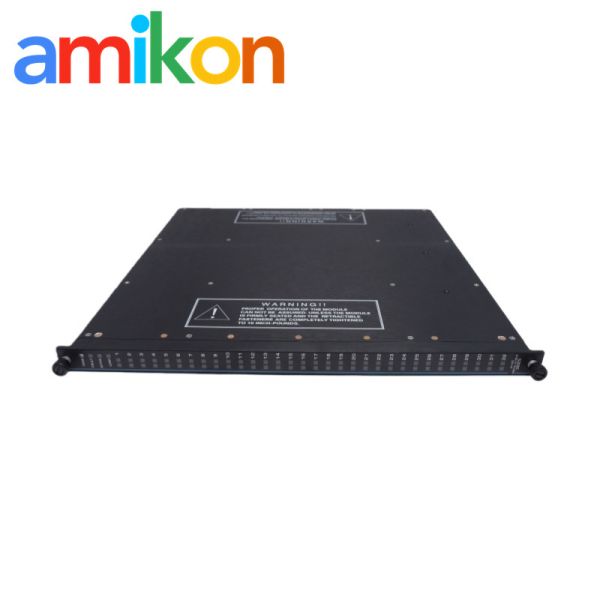 Triconex 3625 Digital Output Module with TMR Architecture and 24VDC Supervised/Non-Supervised Output