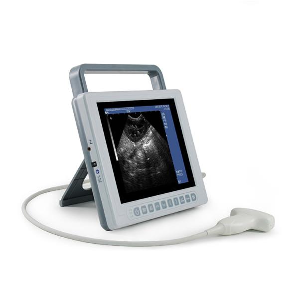 Veterinary Medical Ultrasound Machine 2D B Mode Ultrasound Scanner GHK10