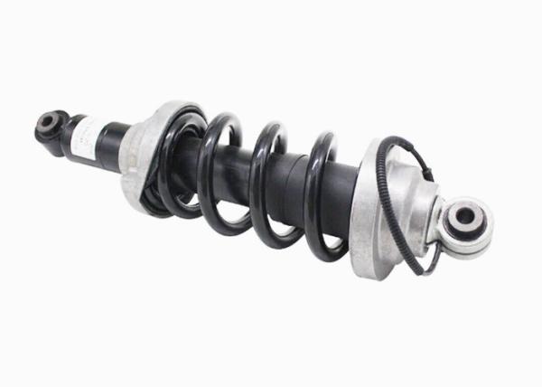 Les supports de choc arrière Assys avec ajustement électrique 2016-2021 Audi R8 4S3 4SP 2016-2021 4S0512019G