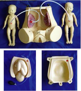 Natural childbirth simulator with fetus placenta for obstetrics skills