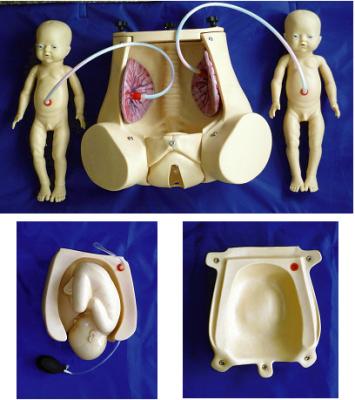 Natural childbirth simulator with fetus placenta for obstetrics skills demonstration