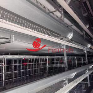 Stable Performance Layer Chicken Cage System in Morocco