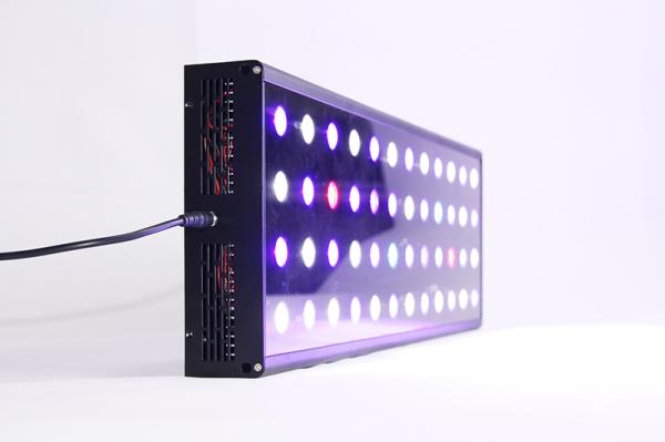 2014 Nano LED Aquarium Light Marine Coral Reef 12X3W SPS Dimmable Full Spectrum wholesale