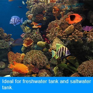 Direct Plastic Double Head Aquarium Water Pump Wave Making