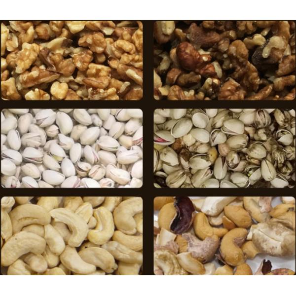 China Clam Sorting Machine Shell Color Sorter Dried Frozen Seafood Sorting Machine