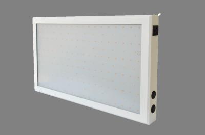 Double Switch Full Spectrum Led Grow Light For Indoor Plants Veg And Flower