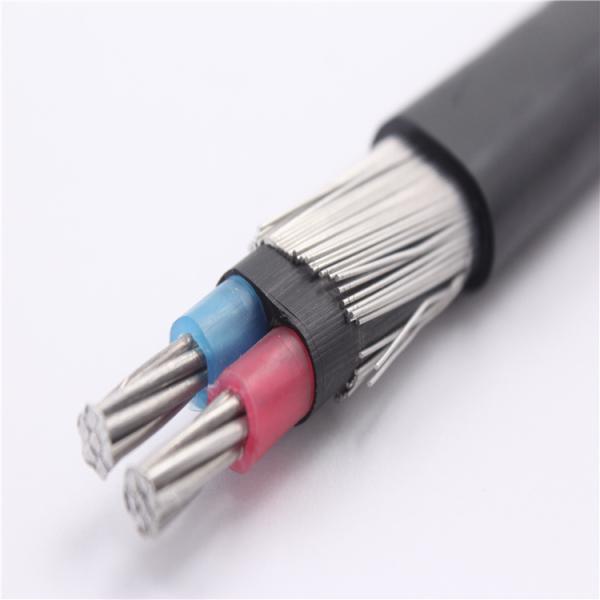 XLPE Insulated 6 AWG Copper Concentric Cable with 0.6/1kV Rated Voltage and Customizable Length