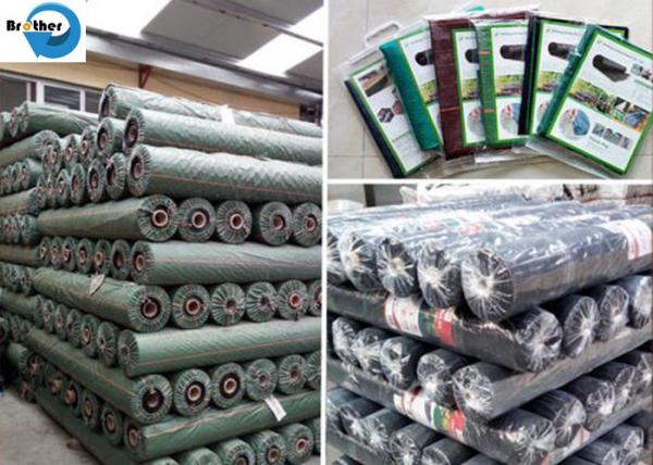 Agricultural Use PP Plastic Fabric Anti Grass Ground Cover Weed Control Mat Weed Barrier Mat