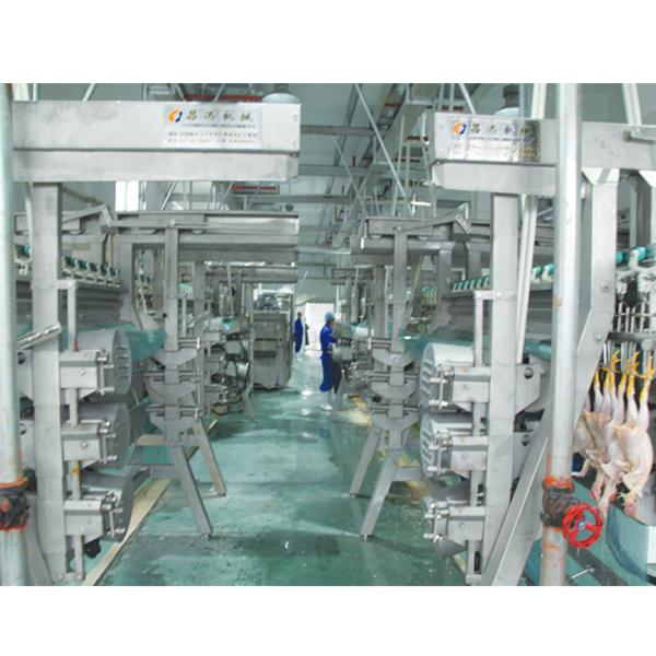 Customized Voltage Halal Poultry Slaughter Equipment for High Capacity Processing