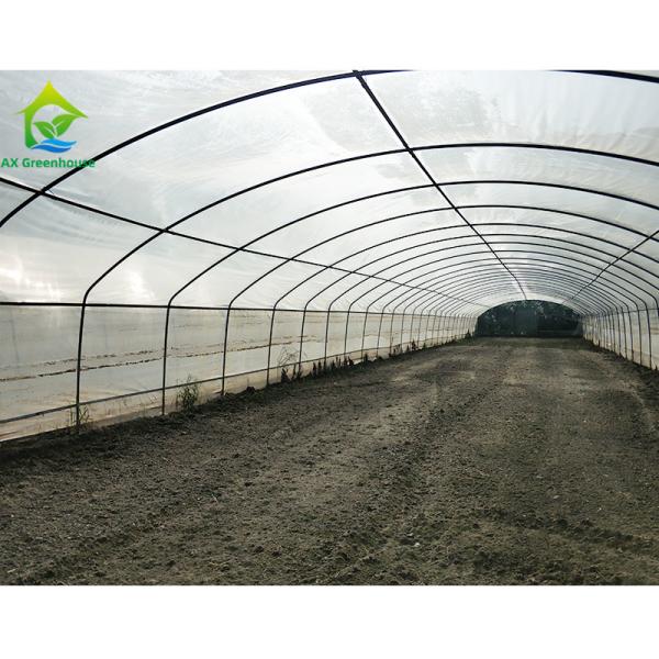 Filtro de plástico PE Resistente ao vento Poli Túnel Tomate Estufas Para Venda