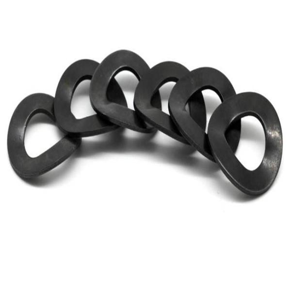 Grade Class 4.8 8.8 10.9 12.9 Galvanized Steel Black Wave Spring Washer