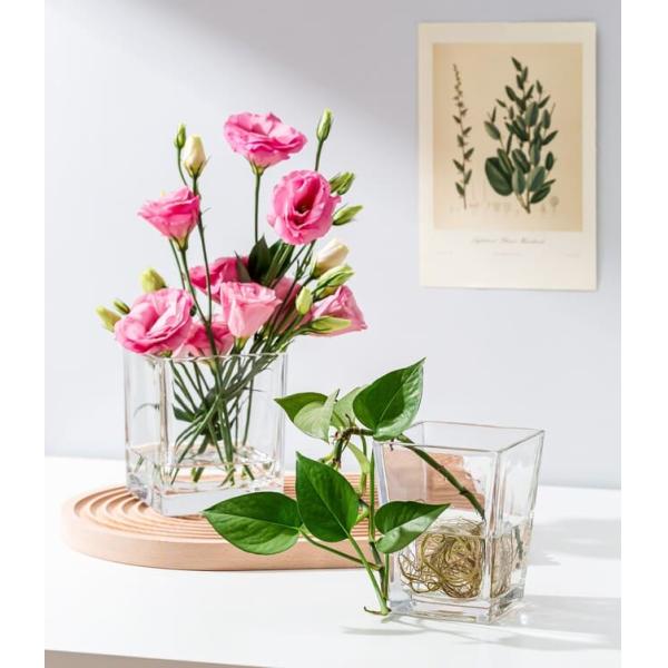 Clear Home Decoration Glass Machine Made Square Tapered Glass Vases 4.65 Inch Tall