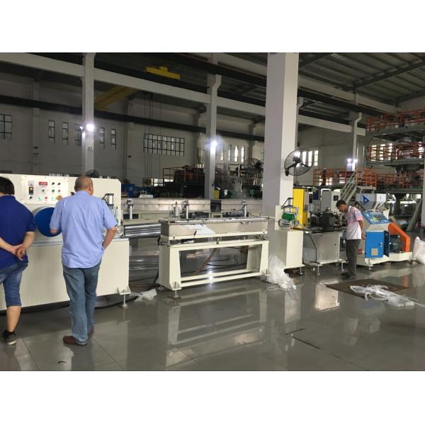 Auto Controlling System Plastic Net Making Machine For Garlic Vegetable Packing