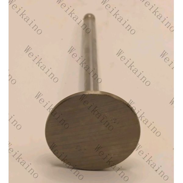 1842913c1 1842912c1 Perkins Diesel Engine Parts Intake Valve Exhaust Valve for 1306 Series
